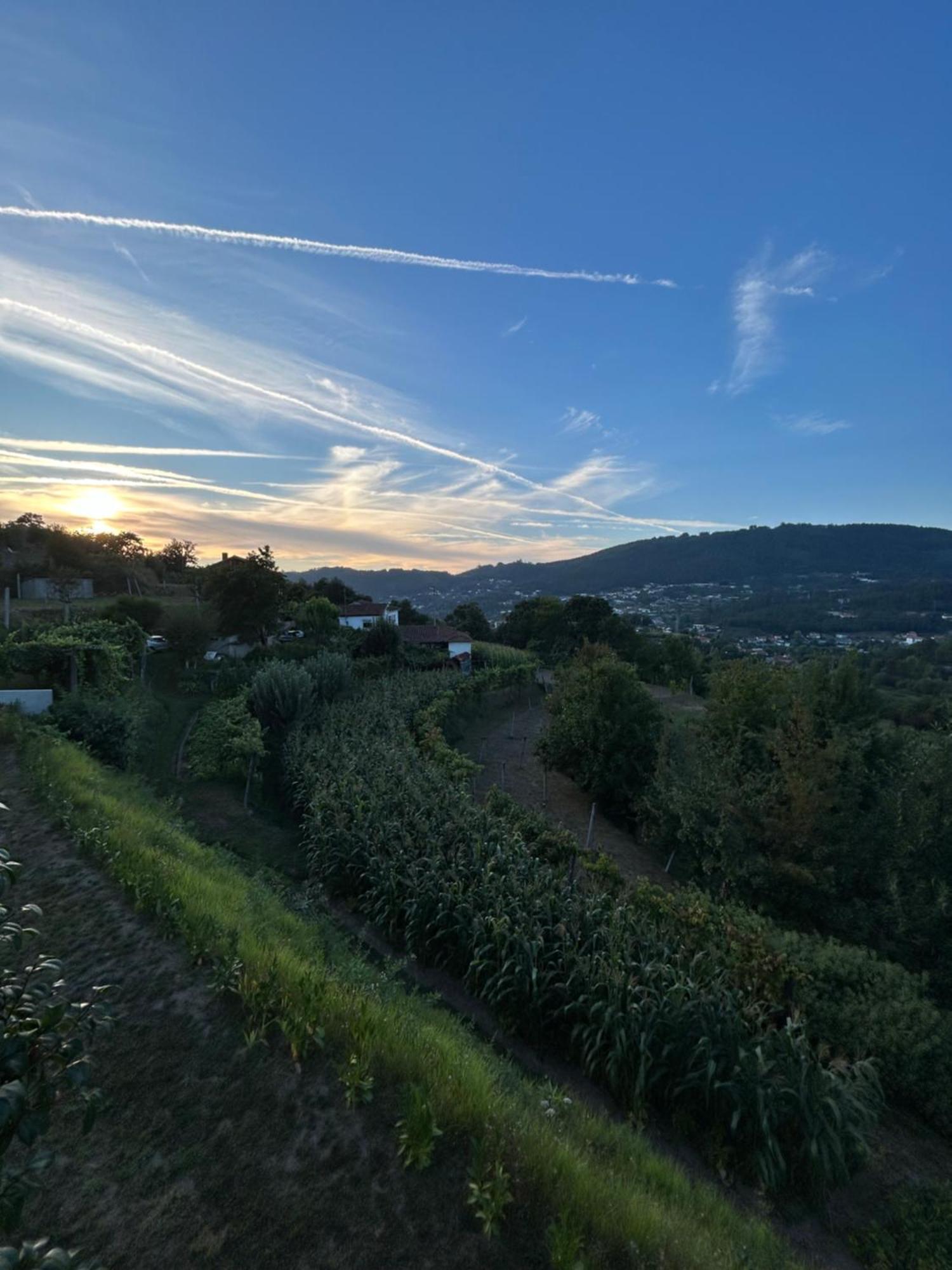 Casa De Fraguas Villa Arouca Dış mekan fotoğraf