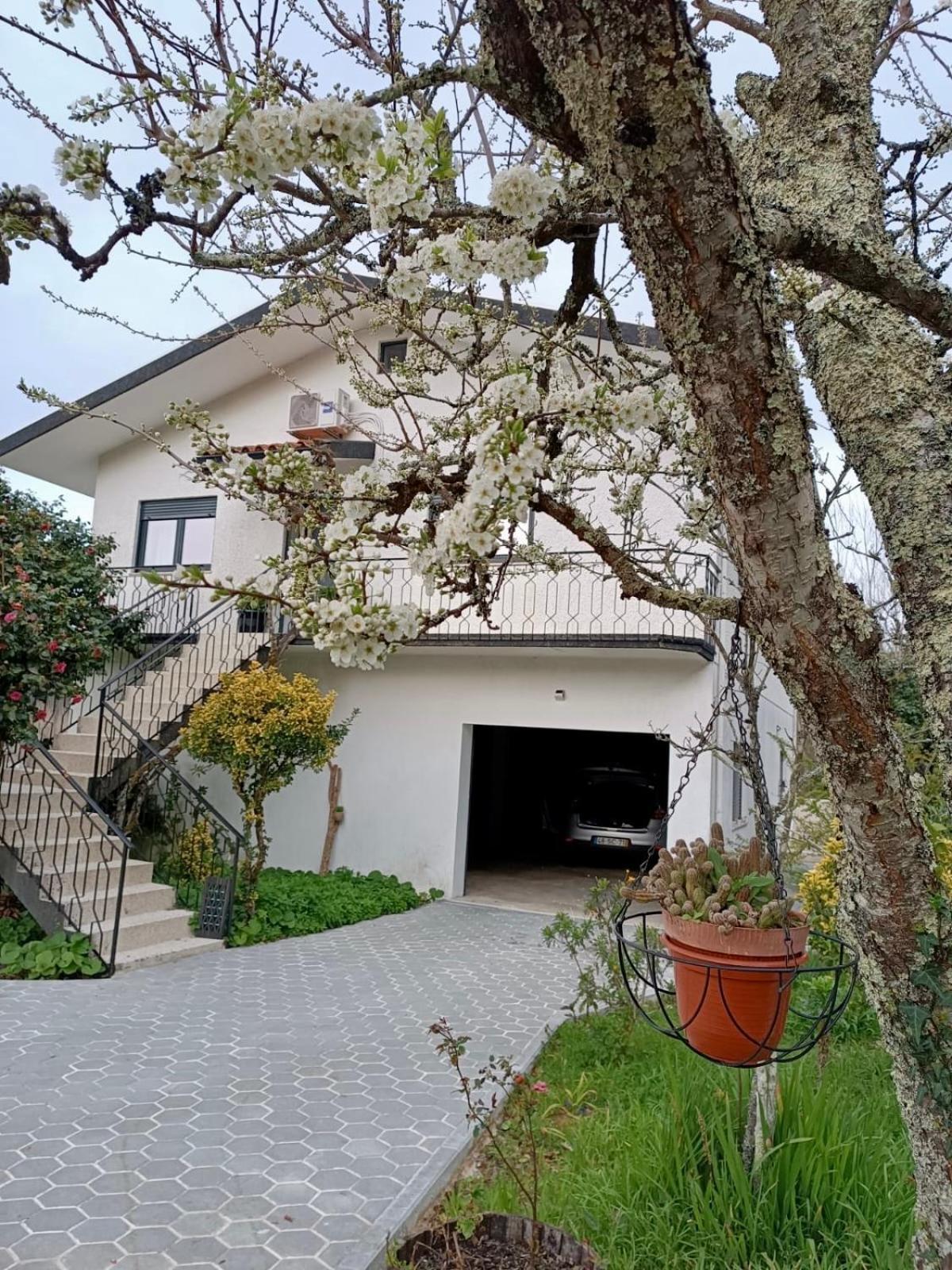 Casa De Fraguas Villa Arouca Dış mekan fotoğraf