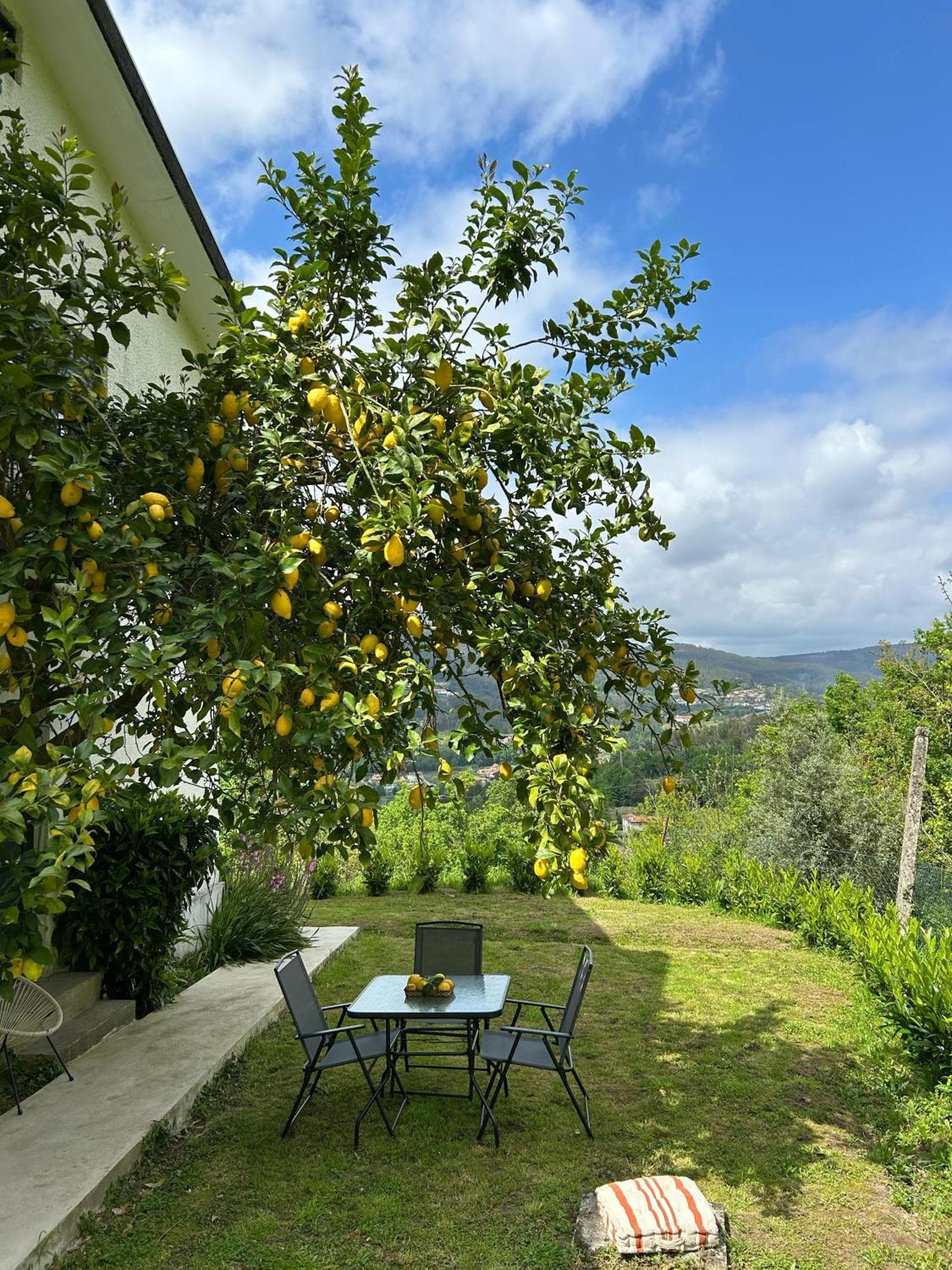 Casa De Fraguas Villa Arouca Dış mekan fotoğraf